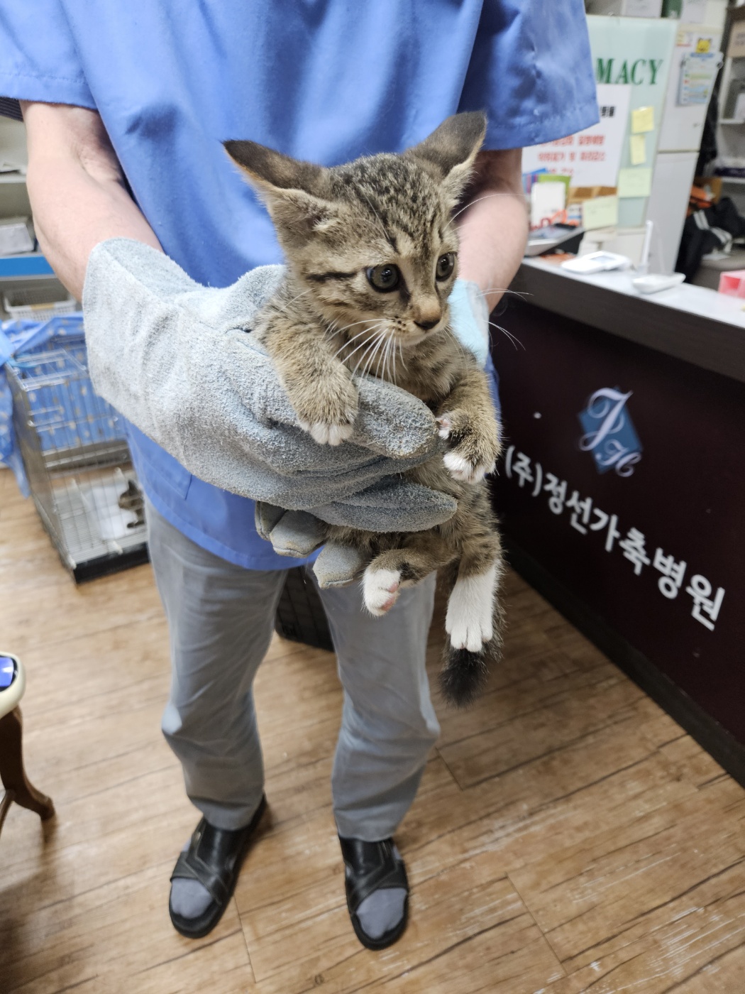 믹스묘 이미지 파일 입니다.
